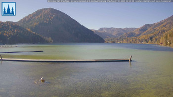 Snímek 7.11.2025 v 13:15