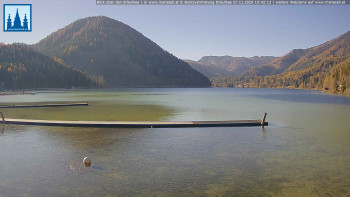 Snímek 7.11.2025 v 13:45