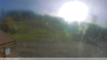 Snímek    31.10.2025 v 13:30