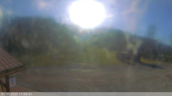 Snímek    1.11.2025 v 12:00