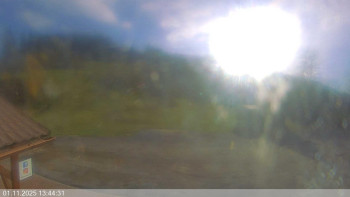 Snímek    1.11.2025 v 13:45