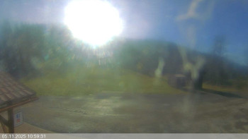 Snímek 5.11.2025 v 11:00