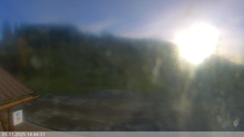 Snímek 5.11.2025 v 14:45