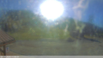 Snímek 7.11.2025 v 12:00