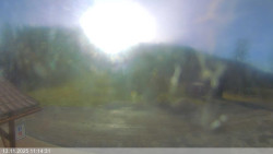 Dolní část sjezdovky