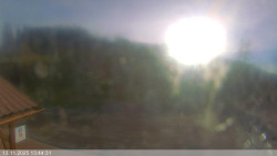 Dolní část sjezdovky