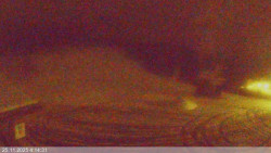 Dolní část sjezdovky