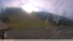 Dolní část sjezdovky