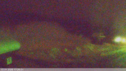 Dolní část sjezdovky