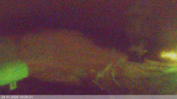 Dolní část sjezdovky