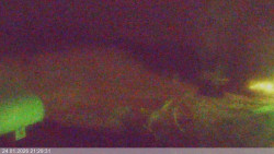 Dolní část sjezdovky