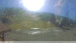 Dolní část sjezdovky