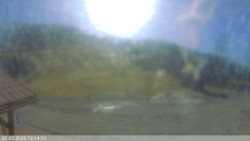 Dolní část sjezdovky