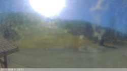 Dolní část sjezdovky