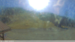 Dolní část sjezdovky