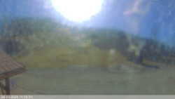 Dolní část sjezdovky