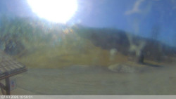 Dolní část sjezdovky