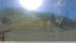 Dolní část sjezdovky