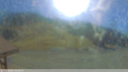 Dolní část sjezdovky