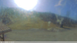 Dolní část sjezdovky