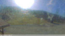 Dolní část sjezdovky