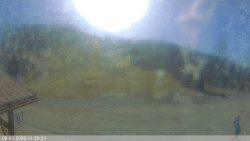 Dolní část sjezdovky