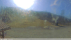 Dolní část sjezdovky