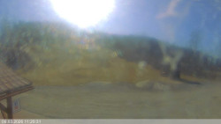 Dolní část sjezdovky