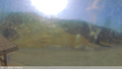 Dolní část sjezdovky