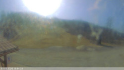 Dolní část sjezdovky