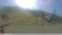 Dolní část sjezdovky