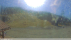 Dolní část sjezdovky