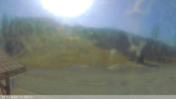 Dolní část sjezdovky