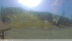 Dolní část sjezdovky