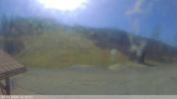 Dolní část sjezdovky