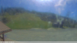 Dolní část sjezdovky