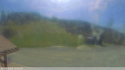 Dolní část sjezdovky