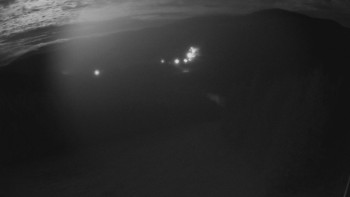 Snímek    4.11.2025 v 03:00