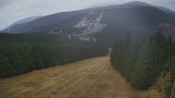 Snímek 8.11.2025 v 13:30