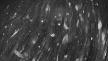 Snímek 19.11.2025 v 02:30