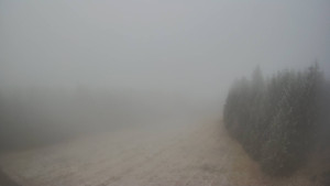 Červenohorské sedlo - Panorama sjezdovka "Červená" - 23.12.2025 v 09:00 Červenohorské sedlo - Panorama sjezdovka "Červená" - 23.12.2025 v 09:00