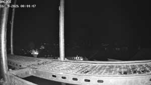 Stadt Dačice - Palacký-Platz - 16.9.2026 v 00:45 Stadt Dačice - Palacký-Platz - 16.9.2026 v 00:45