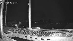 Město Dačice - Palackého náměstí - 17.9.2026 v 05:45 Město Dačice - Palackého náměstí - 17.9.2026 v 05:45
