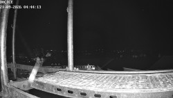 Palackiego plac