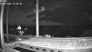Miasto Dačice - Palackiego plac - 22.9.2026 v 19:45 Miasto Dačice - Palackiego plac - 22.9.2026 v 19:45