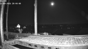 Miasto Dačice - Palackiego plac - 22.9.2026 v 20:45 Miasto Dačice - Palackiego plac - 22.9.2026 v 20:45