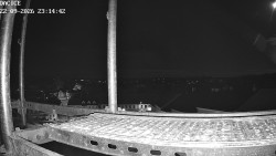 Palackiego plac