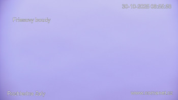 Snímek    30.10.2025 v 09:00