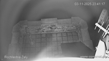 Snímek    3.11.2025 v 23:45