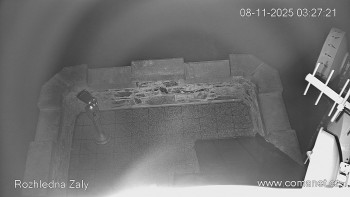 Snímek 8.11.2025 v 03:30